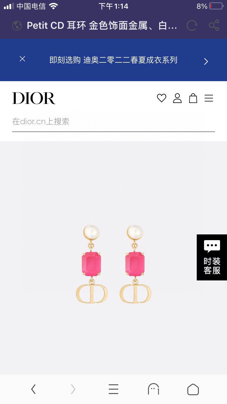 Christian Dior Earrings